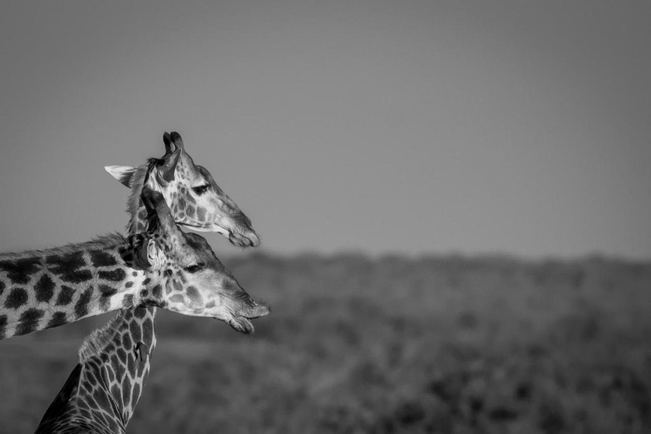 Tamboti River Lodge Hectorspruit エクステリア 写真